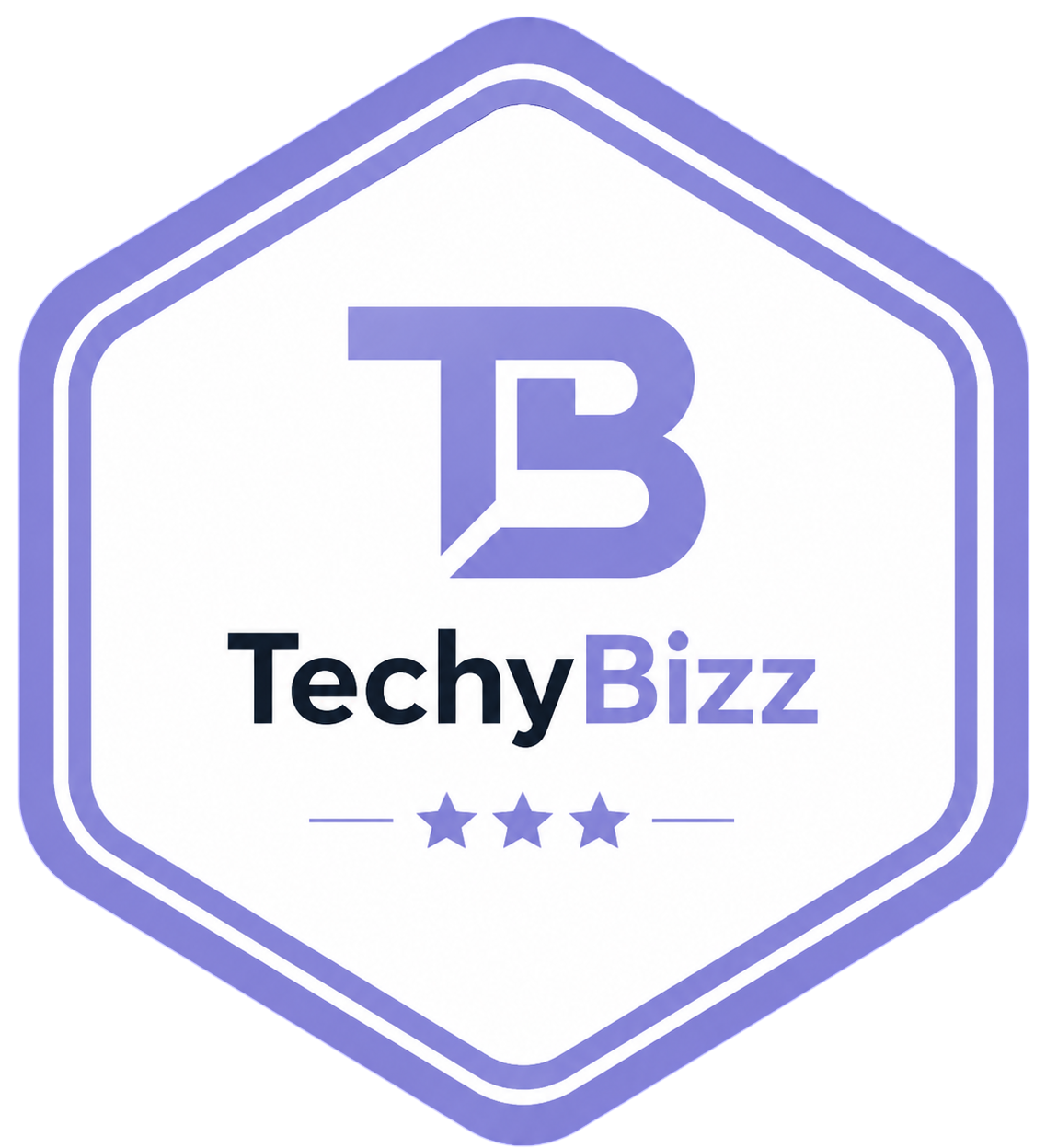 TechyBizz core visual